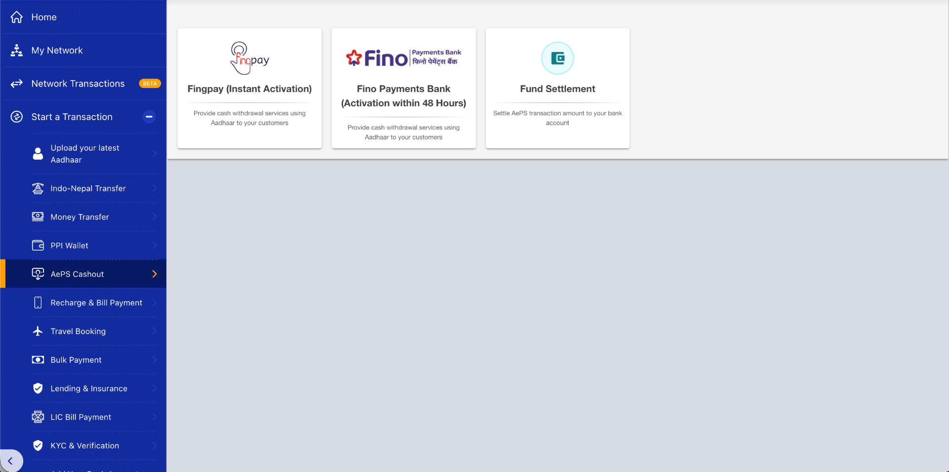 AePS service activation dashboard with cash withdrawal, balance enquiry, mini statement